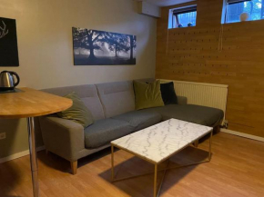 A cozy basement apartment in RVK suburbs